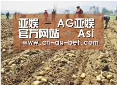 种植基地一