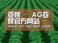 种植基地六