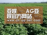 种植基地五(图1)