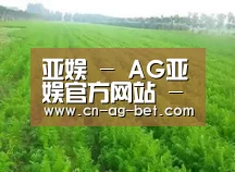 种植基地四